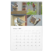 Kalender 2024 Achtertuin Vogels (Jan 2027)