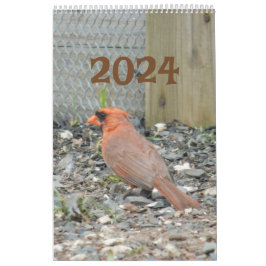 Kalender 2024 Achtertuin Vogels