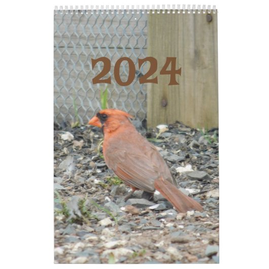 Kalender 2024 Achtertuin Vogels (Hoes)