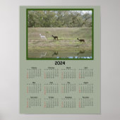 Kalender - 2024 Alpaca Kalender Poster (Voorkant)