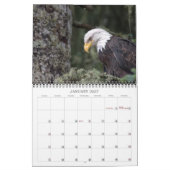 Kalender 2024 definitief (Jan 2027)