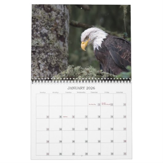 Kalender 2024 definitief (Jan 2026)