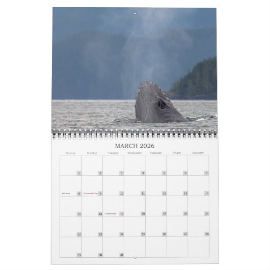 Kalender 2024 definitief (Mar 2026)