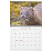 Kalender 2024 definitief (Feb 2026)