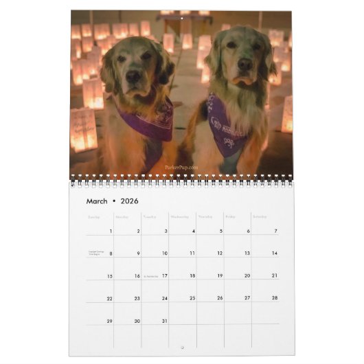 Kalender 2024 - Het beste van Reser (Mar 2026)