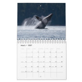 Kalender 2024 met Humpback Whales (Mar 2027)