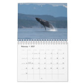 Kalender 2024 met Humpback Whales (Feb 2027)