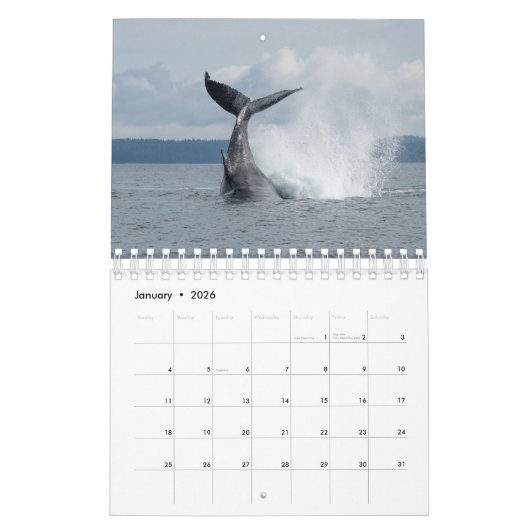 Kalender 2024 met Humpback Whales (Jan 2026)