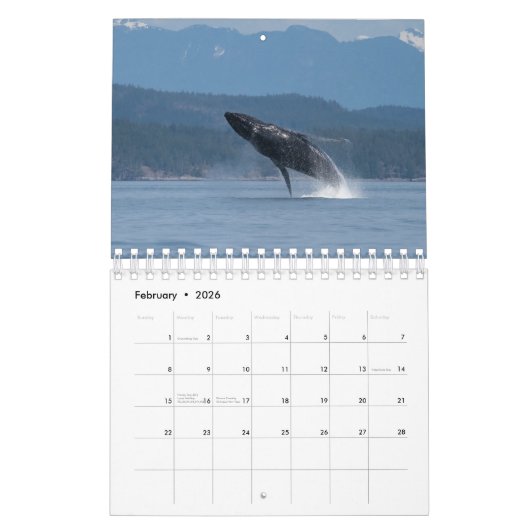 Kalender 2024 met Humpback Whales (Feb 2026)