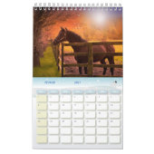 Kalender 2024 paarden Frankrijk (Feb 2027)