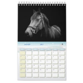Kalender 2024 paarden Frankrijk (Jan 2027)