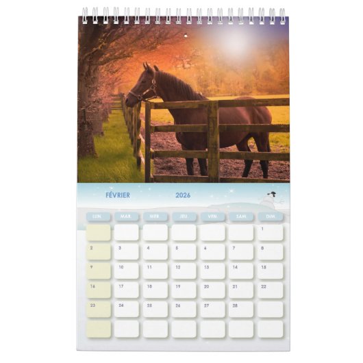 Kalender 2024 paarden Frankrijk (Feb 2026)