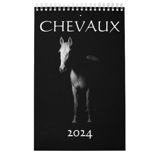 Kalender 2024 paarden Frankrijk (Hoes)