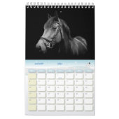 Kalender 2024 paarden Frankrijk (Jan 2026)