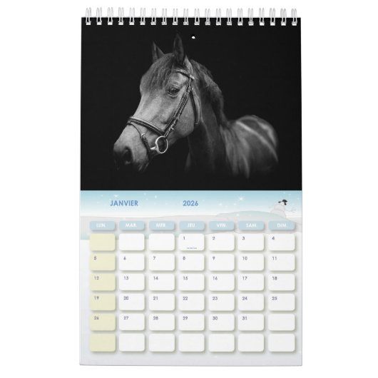 Kalender 2024 paarden Frankrijk (Jan 2026)