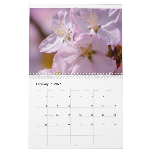 Kalender 2024 Sakura boom (Feb 2026)