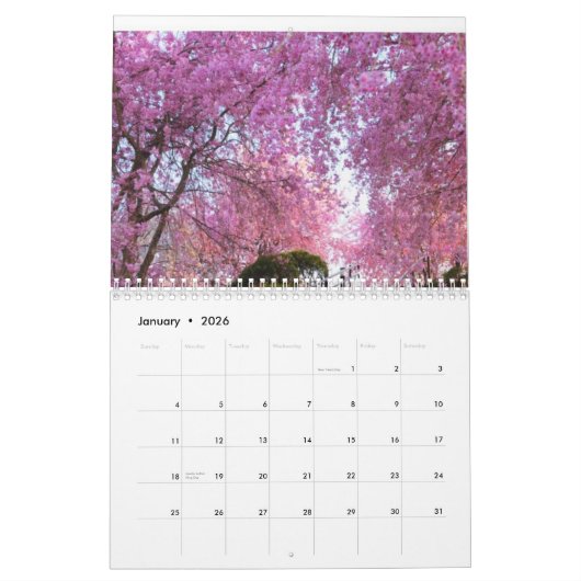 Kalender 2024 Sakura boom (Jan 2026)