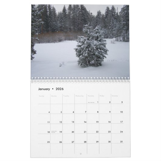 Kalender 2024 van Borg King (Jan 2026)