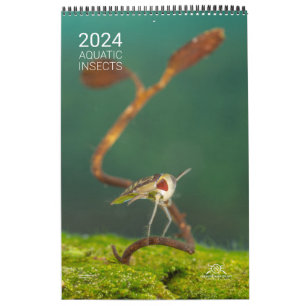 Kalender 2024 - Waterinsecten