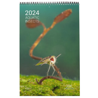 Kalender 2024 - Waterinsecten