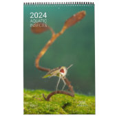 Kalender 2024 - Waterinsecten (Hoes)