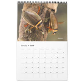 Kalender 2024 - Waterinsecten (Jan 2026)