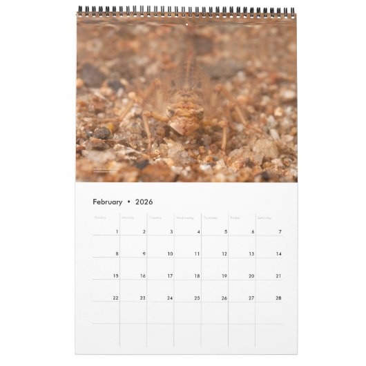 Kalender 2024 - Waterinsecten (Feb 2026)