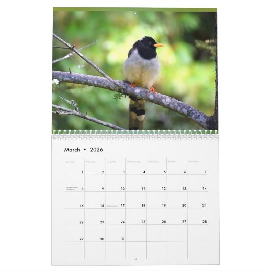 Kalender 2024 - Wensen naar vrede (Mar 2026)