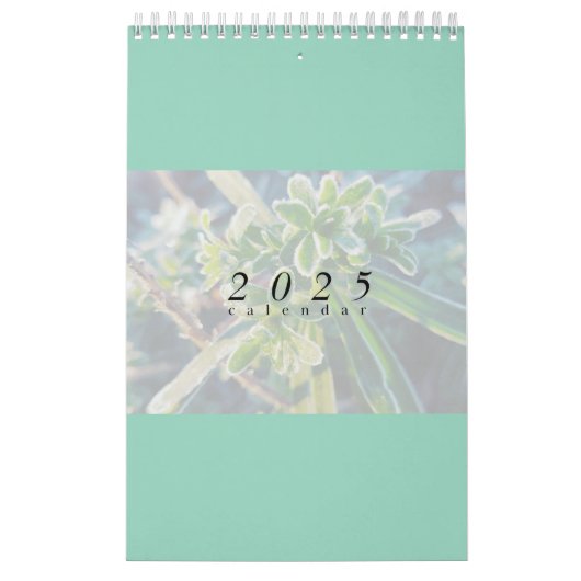 Kalender 2025 (Hoes)