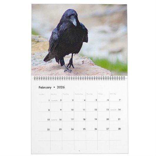 Kalender 2025 (Feb 2026)