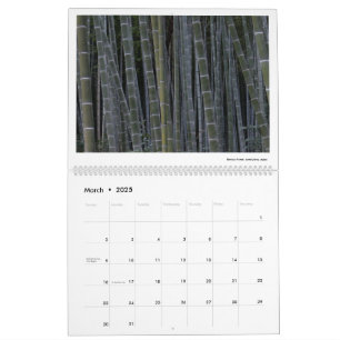Kalender 2025