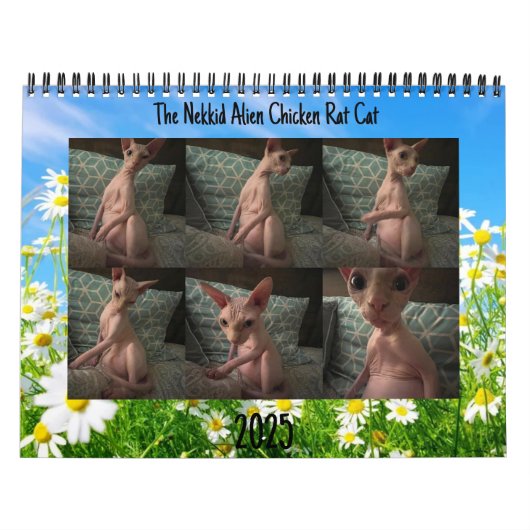 Kalender 2025 (Hoes)