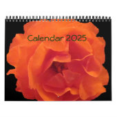 Kalender 2025 (Hoes)