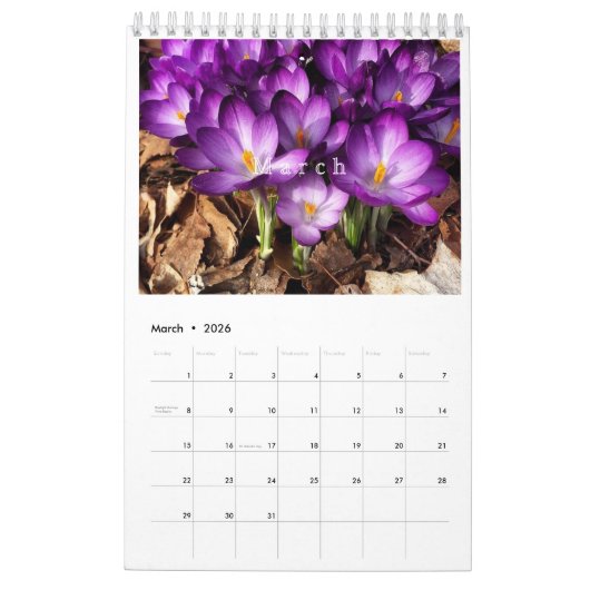 Kalender 2025 (Mar 2026)