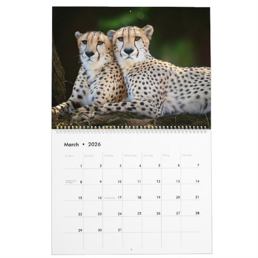 Kalender 2025 (Mar 2026)