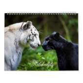 Kalender 2025 (Hoes)