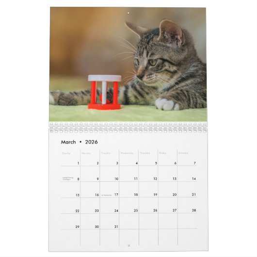 Kalender 2025 Cat Lover Katzen (Mar 2026)
