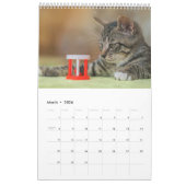 Kalender 2025 Cat Lover Katzen (Mar 2026)