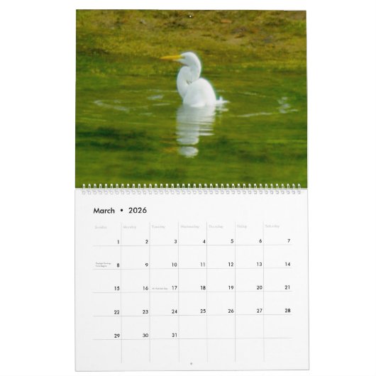 KALENDER 2025: DE KUNST VAN HET BADEN - A.GRATE EG (Mar 2026)