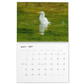 KALENDER 2025: DE KUNST VAN HET BADEN - A.GRATE EG (Mar 2027)