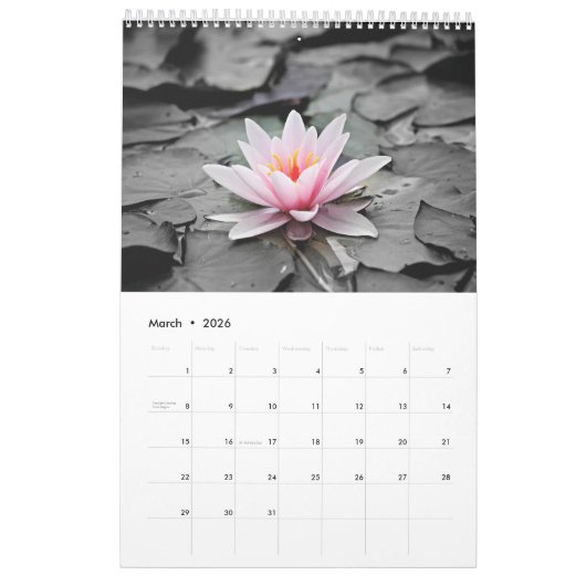 Kalender 2025 Doe gewoon je beste bloemen (Mar 2026)