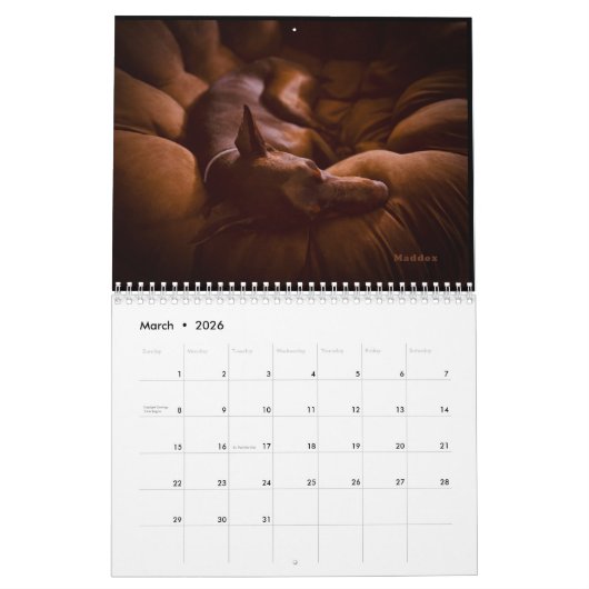 Kalender 2025 DT (Mar 2026)