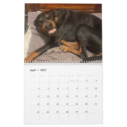 Kalender 2025 DT (Apr 2027)