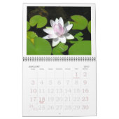 KALENDER 2025, "LOTUS BLOSSOMS & Water Lelies (Jan 2027)