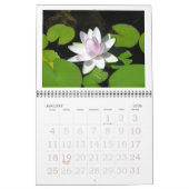 KALENDER 2025, "LOTUS BLOSSOMS & Water Lelies (Jan 2026)