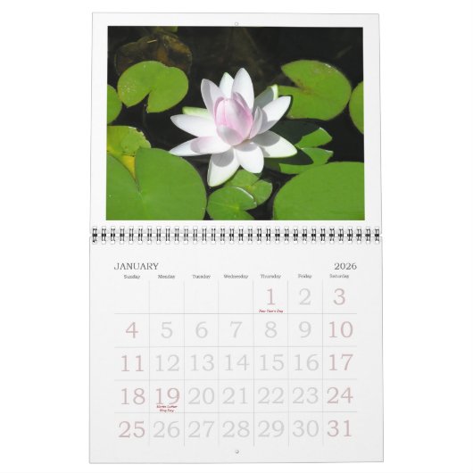 KALENDER 2025, "LOTUS BLOSSOMS & Water Lelies (Jan 2026)