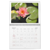KALENDER 2025, "LOTUS BLOSSOMS & Water Lelies (Mar 2026)