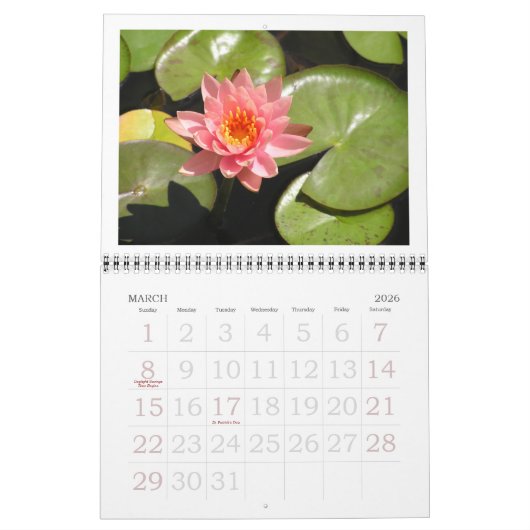 KALENDER 2025, "LOTUS BLOSSOMS & Water Lelies (Mar 2026)