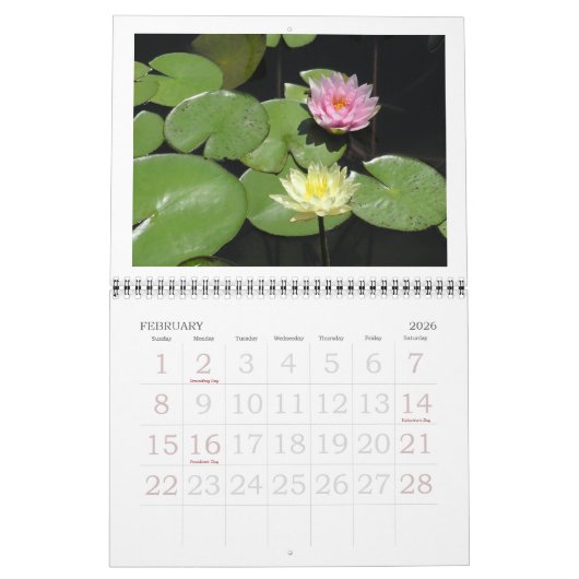 KALENDER 2025, "LOTUS BLOSSOMS & Water Lelies (Feb 2026)