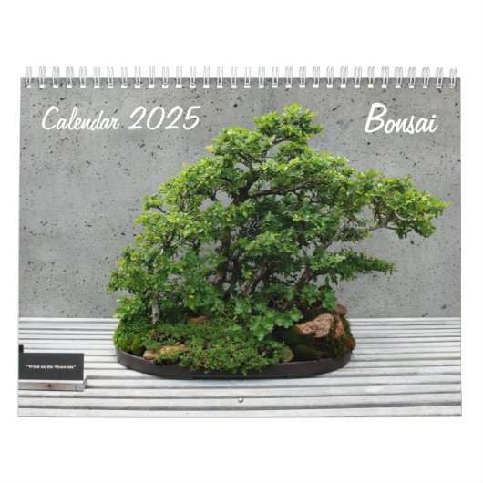 Kalender 2025 met Bonsai (Hoes)